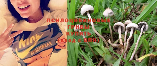 PSILOCYBIN Алексеевка