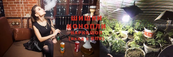 apvp Алексин