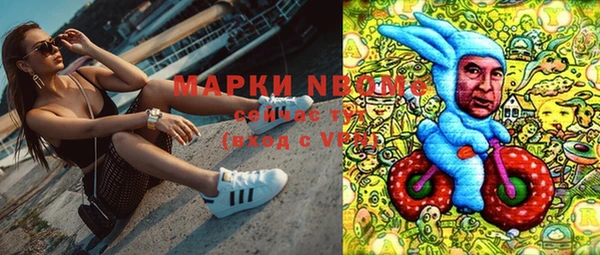 apvp Алексин