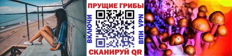 Галлюциногенные грибы мухоморы наркотики Дзержинский