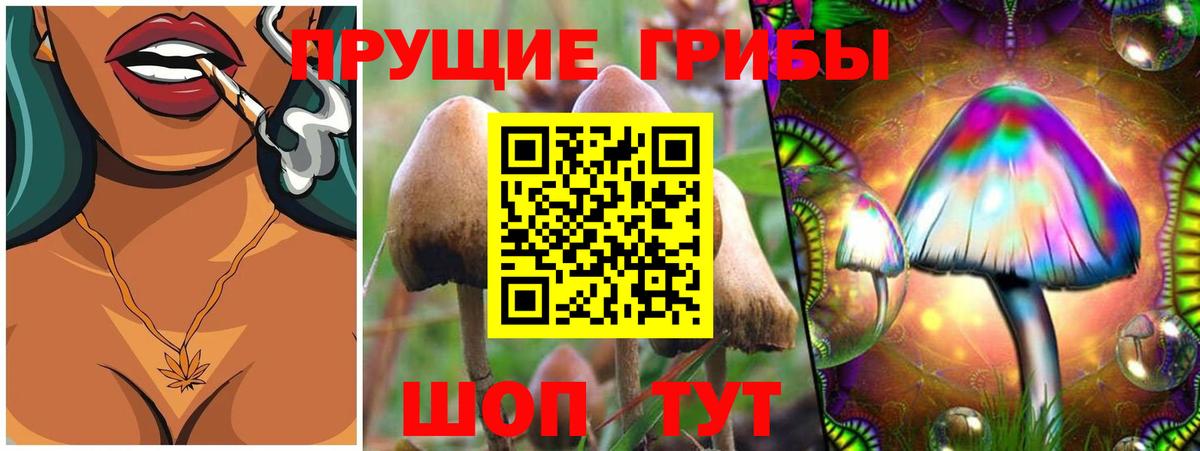 Галлюциногенные грибы Cubensis Дзержинский