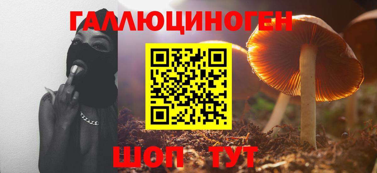 Галлюциногенные грибы Cubensis  Псилоцибиновые грибы прущие грибы  Вход с VPN  Дзержинский 