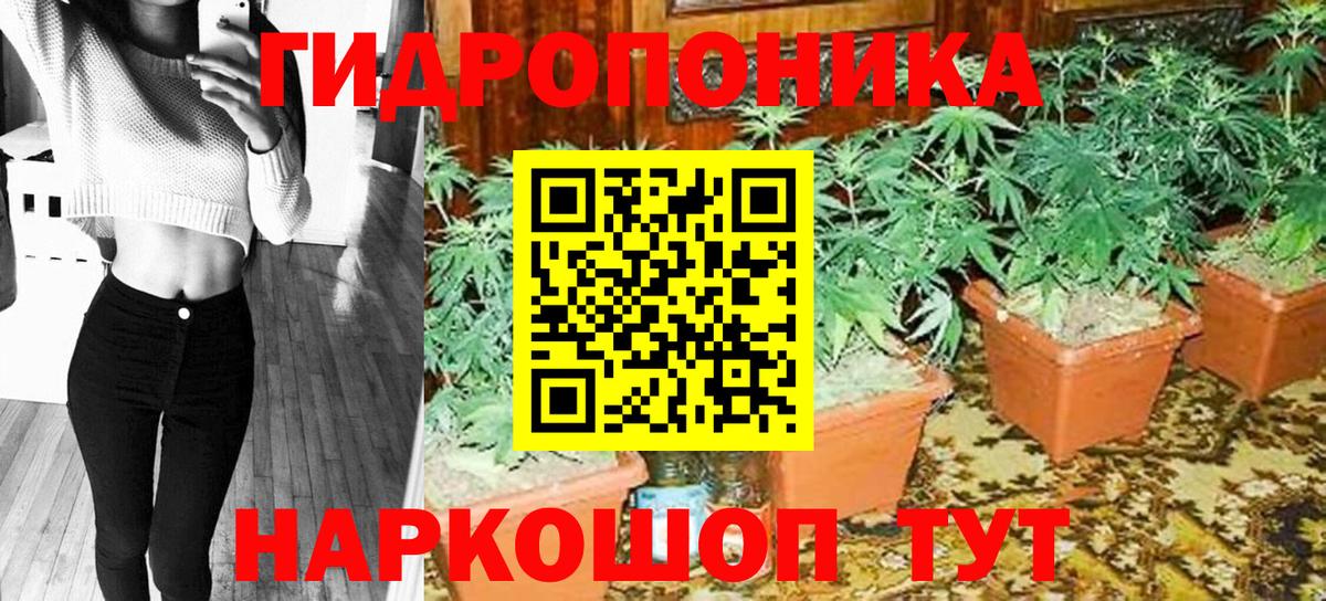 Бошки Шишки план Дзержинский